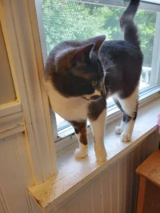 Marco