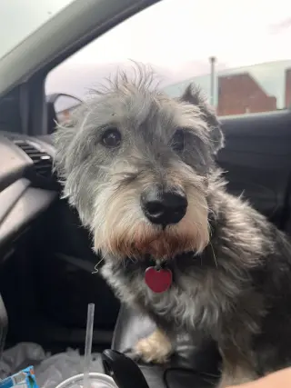 Oscar