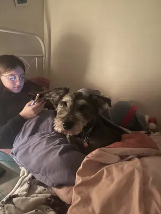 Oscar