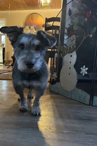 Oscar