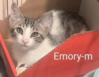 Emory