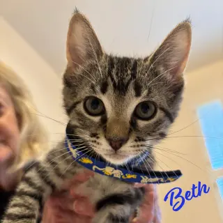 Beth #Little-Women-litter