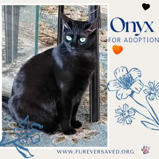 Onyx