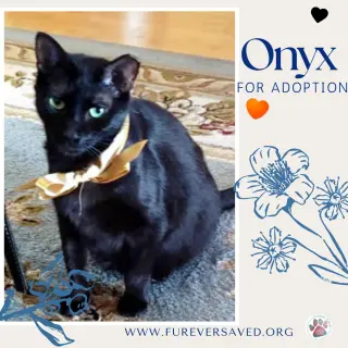 Onyx
