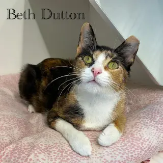 Beth Dutton