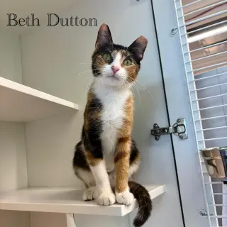 Beth Dutton