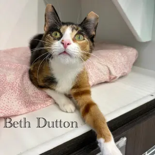 Beth Dutton