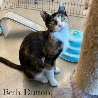 Beth Dutton