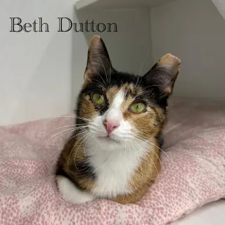 Beth Dutton