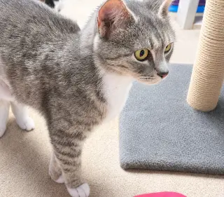Blueberry, Willow Grove Area, (FCID 5/19/2026-69)