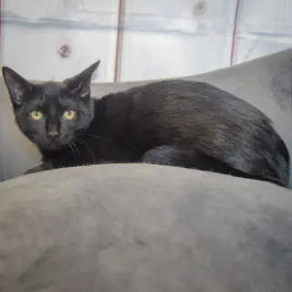 Tammy