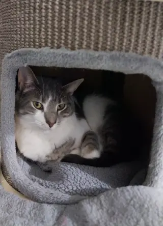 Max * IN FOSTER *