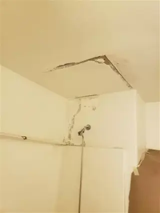 The total handyman