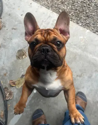 Benny