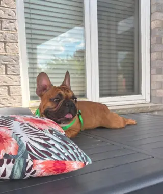 Benny