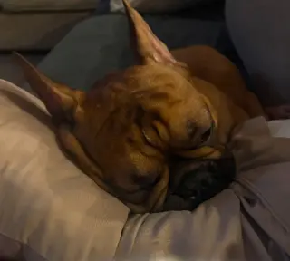Benny