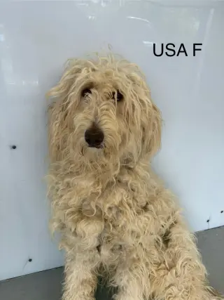 USA #5489