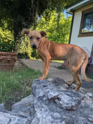 Patton