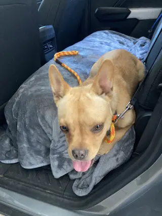 Leo