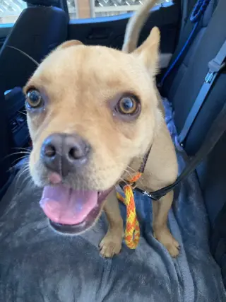 Leo