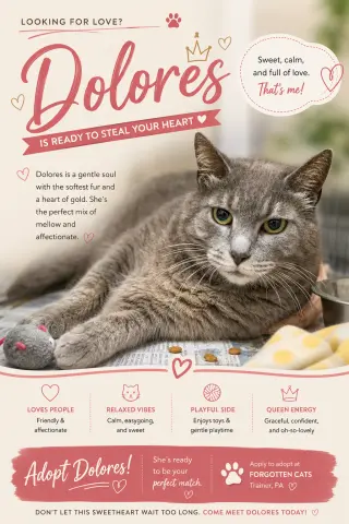 Dolores (FCID# 05/12/2026 - 54 Trainer)