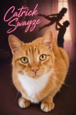 Catrick Swayze (FCID# 06/02/26-73 Brandywine PS) C