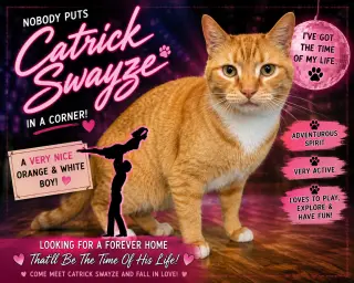 Catrick Swayze (FCID# 06/02/26-73 Brandywine PS) C