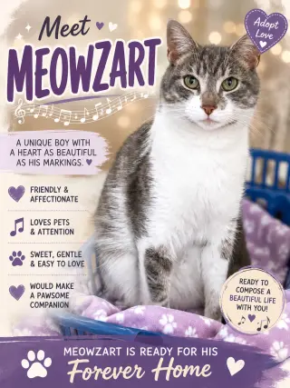 Meowzart (FCID# 06/01/2026 - 46 Brandywine PS)