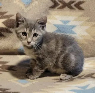 Ori