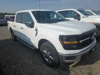 Ford F-150 XLT 2025