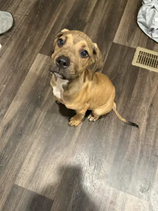 Chance