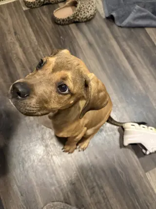 Chance