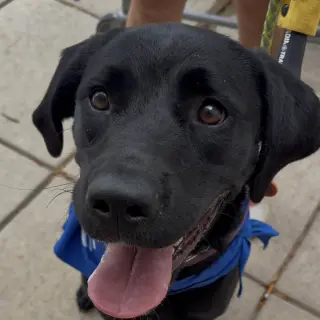 Luna