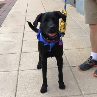 Luna