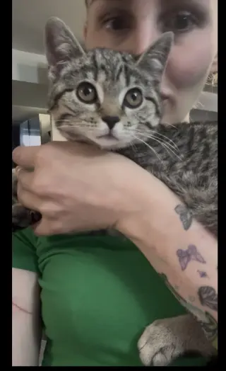 Juliet