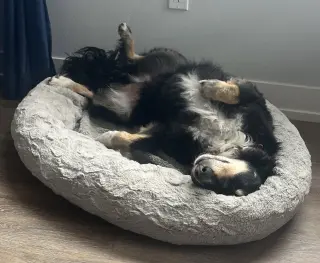 Milo