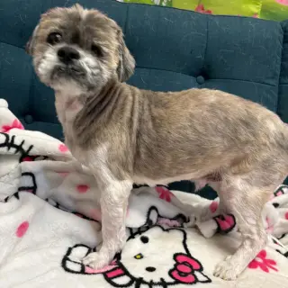 Dudley Duddles