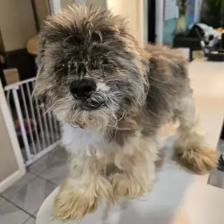 Dudley Duddles