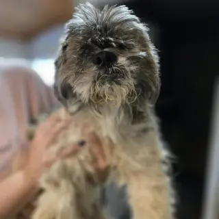 Dudley Duddles