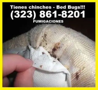 FUMIGACIÓN DE CUCARACHAS.🐜🐜
