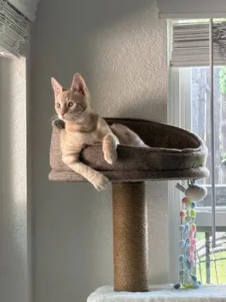 Duncan