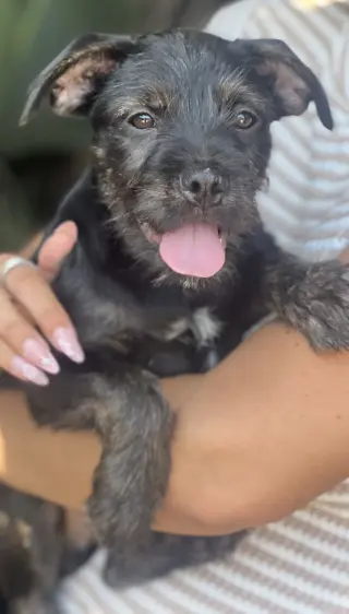 Barnaby