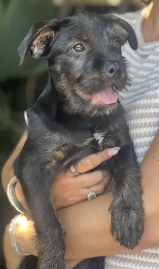 Barnaby