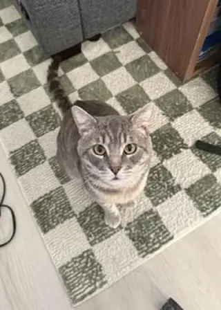 Bernie
