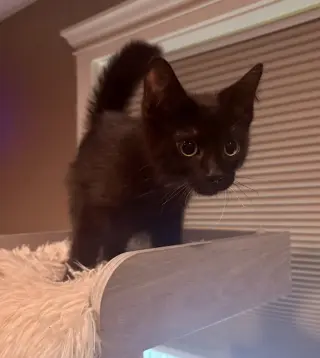 Ellie