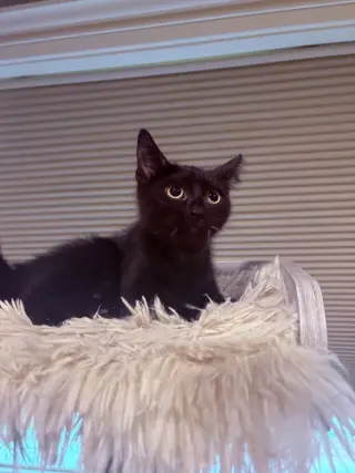 Ellie