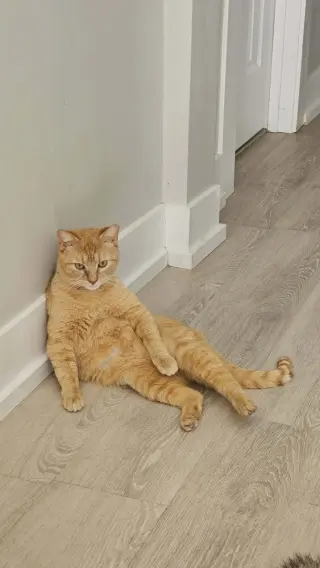 Oliver