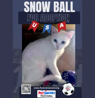 Snow White