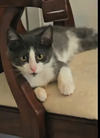 Julio