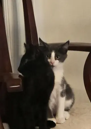 Julio
